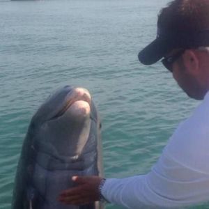 Meet your Posher, Nick